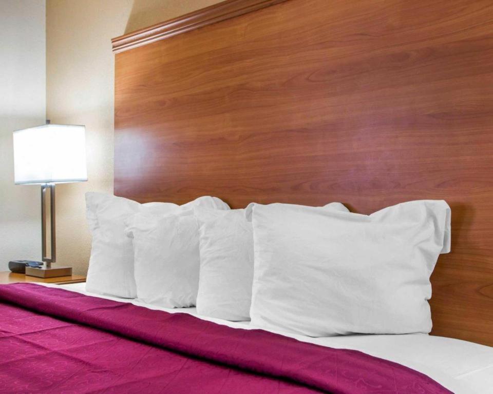 Quality Inn Ottawa Near Starved Rock State Park Екстер'єр фото